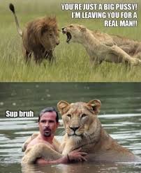 You Ll Never Understand Our Love Funny Lion Funny Animal Pictures Animal Jokes
