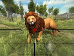 We did not find results for: Lion Hunting 3d Game Poki Games Online