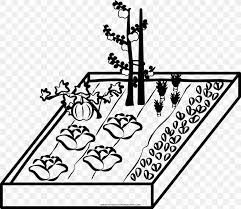 Coloring Book Drawing Gardening Vegetable Market Garden Png 1000x871px Coloring Book Area Art Ausmalbild Black And Download vegetable garden stock vectors. coloring book drawing gardening
