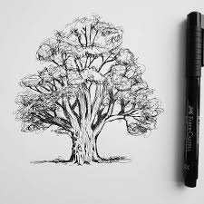 New The 10 Best Drawings Today With Pictures Tree Draw Drawing Black Tree Drawings Pencil Cool Drawings Tree Drawing