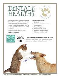 Hear first about our exclusive offers and pet care advice. Dental Month Cape Horn Veterinary Associates