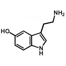 Serotonin Tatuaje De Serotonina Simbolos Quimicos Tatuajes