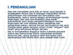Gimana kalok kita pelihara ikan lele 10.000 ekor bisa dihitung sendiri hasilnya. Budidaya Lele Super Intensif Dengan Sistem Boster Untuk Kalangan Sendiri Oleh Sudarmaji Dan Tim Boster Merevitalisasi Pola Budidaya Untuk Peningkatan Ppt Download