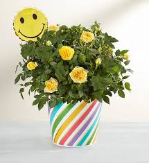 Come see our unique cake gifts with flower shower! Sending You Sweet Smiles 1800flowers Com 101189