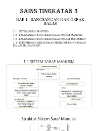 Sains tingkatan 3 bab 1 rangsangan dan gerak balas layari www.cikgufaizal.com/ untuk keterangan lebih lanjut. Sains Tingkatan 3 Rangsangan Dan Gerak Balas