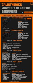 This is a strength workout, using different muscle groups, so you'll get a chance to recover between sets. Calisthenics Workout Plan For Beginners 6 Month Calisthenics Program Dr Workout