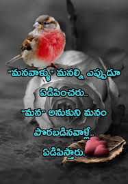 Pin By Prashanth Jinka On Telugu Quotes Telugu Inspirational Quotes Life Quotes Pictures Good Life Quotes