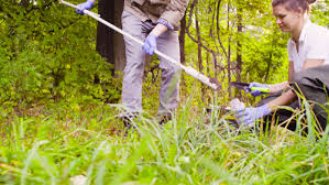 Bodenproben Kosten Preisbeispiele Und Mehr