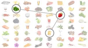 Science Behind Foodpairing