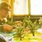 Bonsai Workshop at Oasis Texas Brewing Company event image