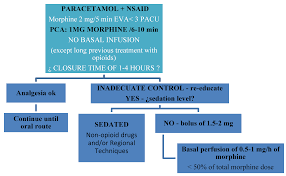 Multimodal Analgesia For The Management Of Postoperative Pain Intechopen