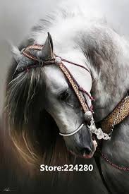 Lovely indeed has this fabulous project up their sleeve and we can't wait to try it out. Needlework For Embroidery Diy White Andalusian Horse Animal 14ct Canvas Cross Stitch Kit Art Pattern Counted Handmade Decor Cross Stitch Kits 14ct Cross Stitch Kitsstitching Kit Cross Stitch Aliexpress