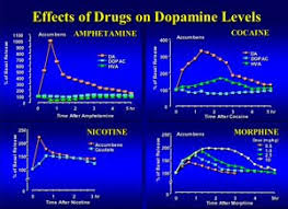 meth in the body meth and the brain the meth epidemic