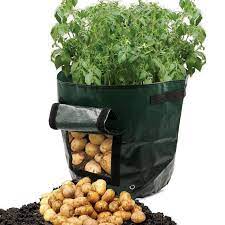 Garden Potato Growing Bags With Flap And Handles Home Farm Planter Planting Bag Walmart Com Growing Potatoes Planter Bags Growing Vegetables
