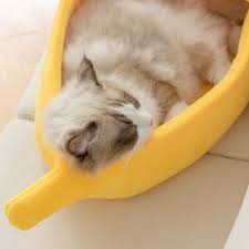Cama Banana Para Caes E Gatos Bugpetstore