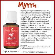 Myrrh Essential Oil Pin Essential Oils For Babies Myrrh Essential Oil Living Essentials Oils