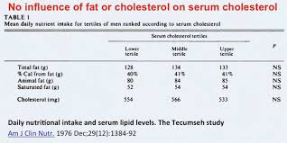 Fasting And Cholesterol Diet Doctor