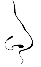I have tried a medium pink and it made me look like a made up doll. Nose Coloring Pages Coloring Home
