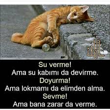 bikapyemek in instagram gonderisi 24 oca 2019 7 45os utc animal projects best love messages emotional photography