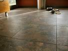 What is the Best Type of Flooring for Pets? - BuildDirect