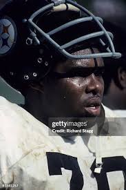 102 Pittsburgh Steelers Dwight White Stock Photos, High-Res Pictures, and  Images