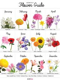 A Visual Guide To Wedding Flowers By Month Birth Flower