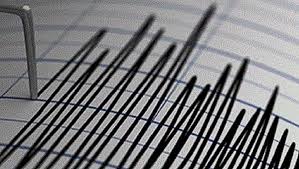 The strongest earthquake in argentina for 2021 had a magnitude of 4.9. Earthquake Of 6 4 Magnitude Strikes Parts Of Argentina Chile No Injuries Reported World News Eagles Vine