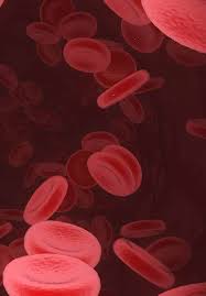 Multiple myeloma is a monoclonal gammopathy and is the most common primary malignant bone neoplasm in adults. Management Of Multiple Myeloma In Developing Countries Intechopen