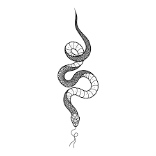 Slink By Waramtattoo X In 2020 Snake Tattoo Design Small Tattoos Tattoos