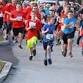 2026 Sacred Selections 5K event in Temple Terrace, FL