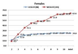 image result for doberman pinscher puppy weight chart