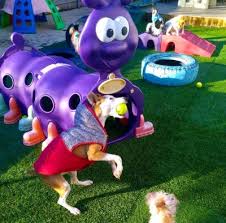 Forever puppy day camp & boarding operates dog boarding, dog daycare, and dog sitting services in mission viejo, calif. 1 Dog Boarding Puppy Boarding Enrichment Center Little Rock Ar Top Rated Dog Kennel Boarding Center Near Me