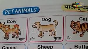 Without wasting your more time coming to final words, please. Pet Animals Name In Hindi And English With Pictures Android Mod Tutorial