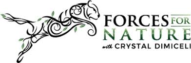 Dove does not test any of its products or ingredients on animals or ask others to test on its behalf. Making All Cosmetics Cruelty Free Forces For Nature