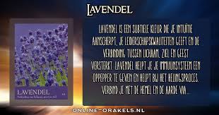 Lavandin groeit op zo'n 200 tot 1000 meter hoogte. Lavendel Geheimtaal Van Kleuren Orakel Online Orakels