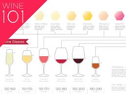 get into wine with the basic wine guide infographic wine