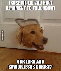 Find the newest golden retriever meme. Jim Golden Retriever Latest Memes Imgflip