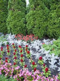 Preparing the area for low maintenance landscaping. Low Maintenance Plants 30 Easy Options For Your Garden Bob Vila