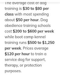 Is there a dog boot camp for dogs? What S The Full Price Of Dog Training Guyana Kennel Club Facebook