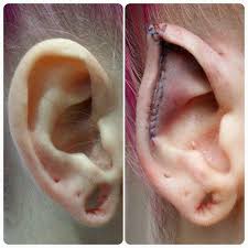 Pin On Ear Pointing