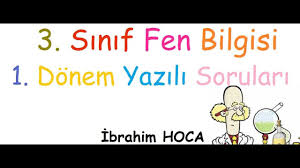 3 Sinif Fen Bilgisi 1 Donem Yazili Ornek 1 Youtube