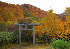 Image result for Hakkoda Walk