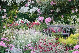 Maybe you would like to learn more about one of these? The Best Tropical And Hidden Gardens In Devon Devon Live