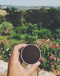 Unverschwendet Wastefree Mint Kaffee Garten Garden Bio Dunger Schnecken Pflanzen Nachhaltig Fairtrade Krauterhexe Kreativ Krautergarten Druzy Ring