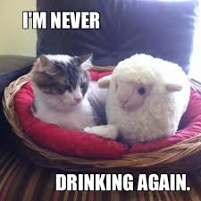 30 Funny Animal Captions Part 3 30 Pics I Love Funny Animal Sweet Funny Animal Photo Of The Day Funny Cats Funny Animals Funny Animal Photos