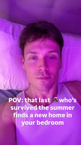 i swear to god, there’s always one guy who sticks around til november,  #mosquito #🦟