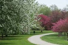 Eco Explorers: The Great Berry Hunt