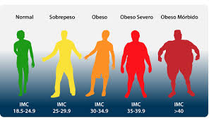 Resultado de imagen para obesidad y sobrepeso