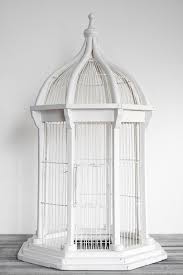 Birdcage Bird Cage Bird Cage Decor Vintage Bird Cage
