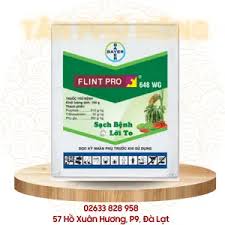 Flint pro 648WG